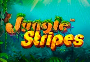 Jungle Stripes